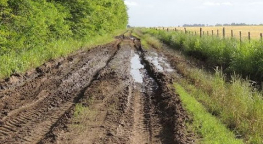 Por las lluvias piden a productores y transportistas restringir la cir