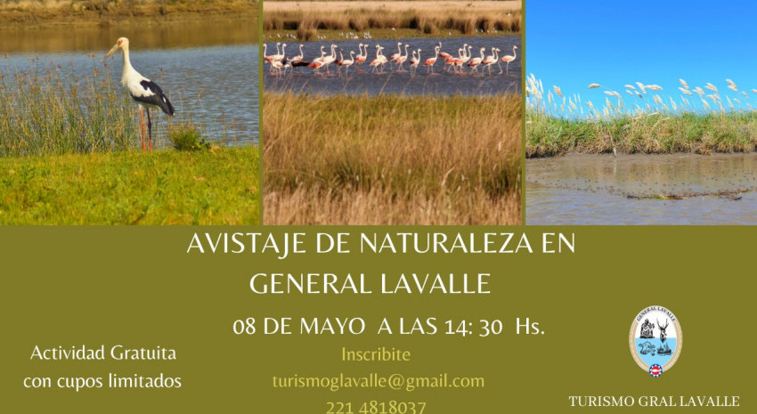 El sábado 8 de mayo habrá salida de Avistaje de Naturaleza en Lavall