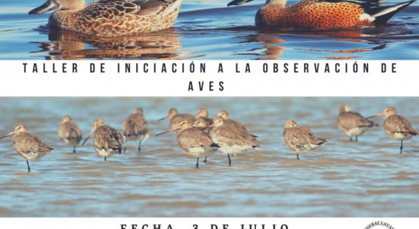 Lanzaron la inscripción al “Taller de Iniciación a la Observación