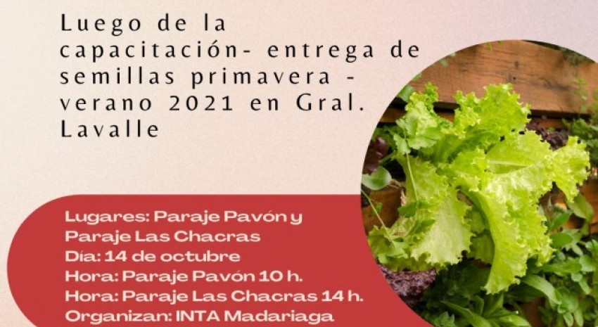 Este jueves brindarán una capacitación sobre huertas orgánicas fami