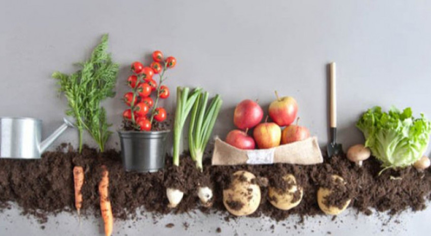 “Día de la Tierra”: Te mostramos los secretos del paso a paso par