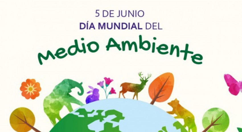 En el “Día Mundial del Medio Ambiente” el municipio presentó 4
