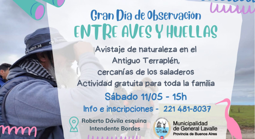 Este sábado se celebra el “Gran Día de Observación de Aves”