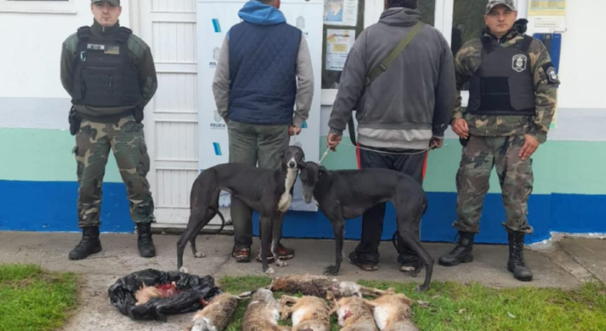 Aprehendieron a dos hombres por cazar con perros galgos y sin permisos