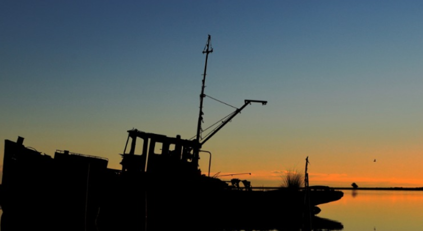 Este domingo de Naturaleza y Astronomía en la Ría Ajó