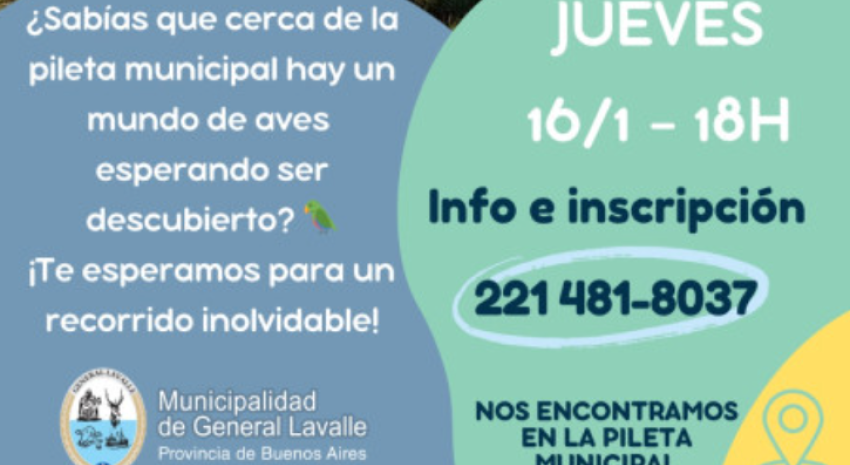 Esta tarde habrá “Observación de aves en la pileta municipal”
