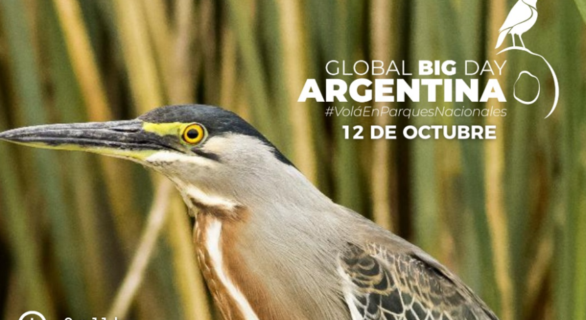 El 12 de octubre se realizará el Global Big Day: Te contamos cómo p