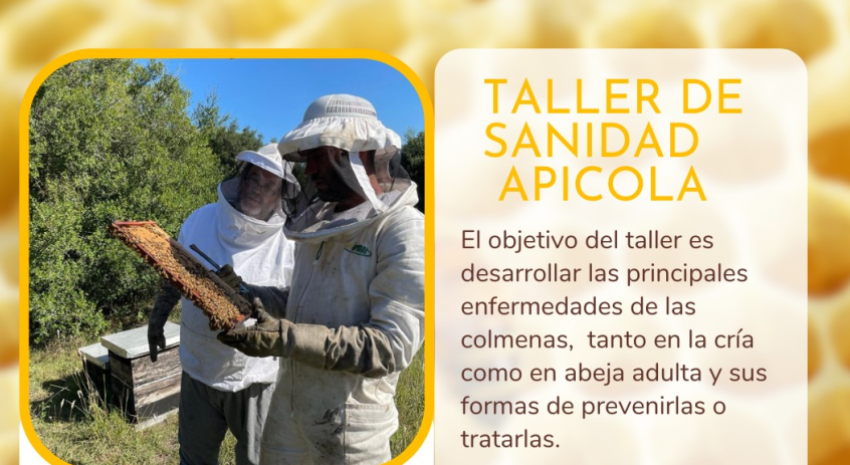 Se encuentra abierta la inscripción al Taller de Sanidad Apícola en