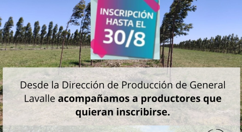 Convocatoria abierta para el Programa de Fomento a la Fruticultura