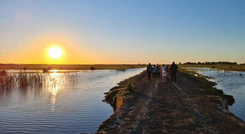 Mañana habrá salida de Avistaje de Aves en el camino rural del Palen