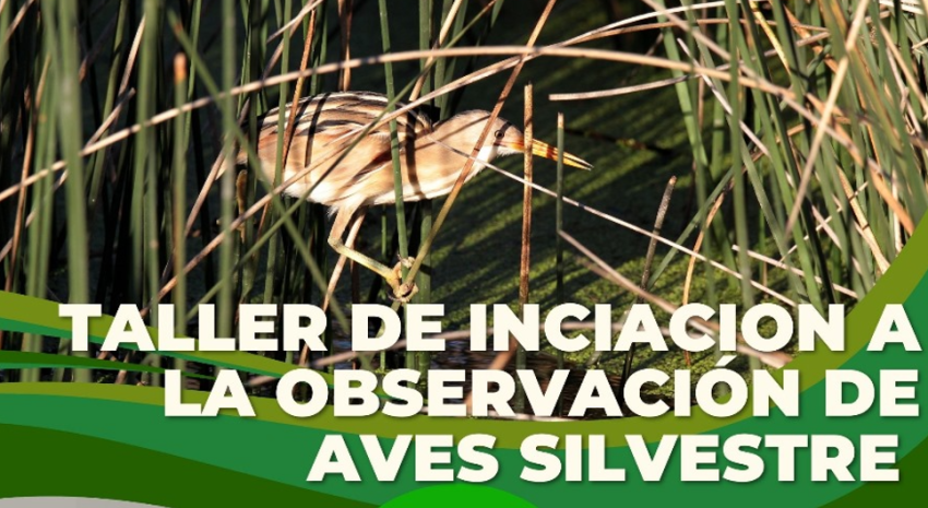 El 5 de abril se iniciará el taller de “Iniciación a la Observaci