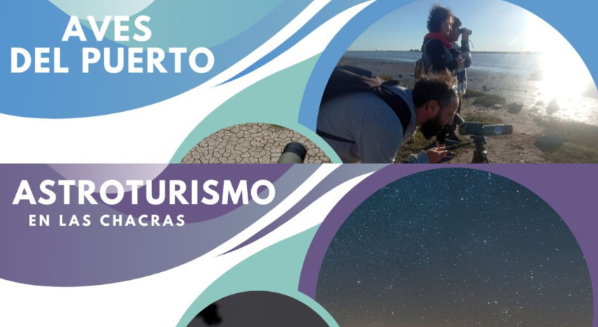 Propuestas para el fin de semana en General Lavalle: Aves del Puerto y