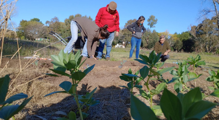 Finalizó el curso de Producciones en Invernadero en Las Chacras