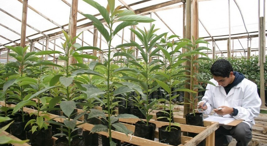 La Facultad de Ciencias Agrarias abrió la inscripción a la “Tecnic