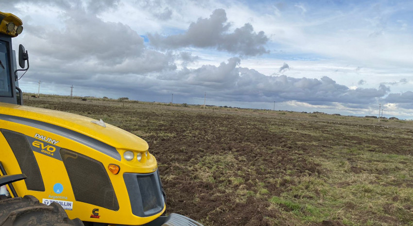 Turismo y Producción comenzaron con la plantación de olivos del “P
