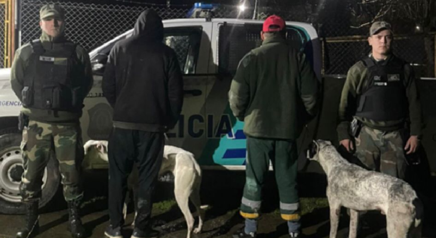 Aprehendieron a 4 hombres por cazar con perros y una escopeta