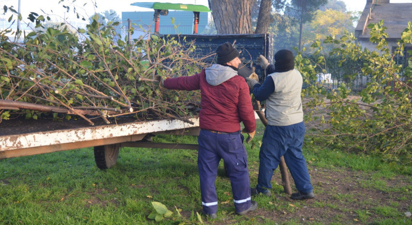 Conocé los días y horarios de la recolección de barrido y poda en C