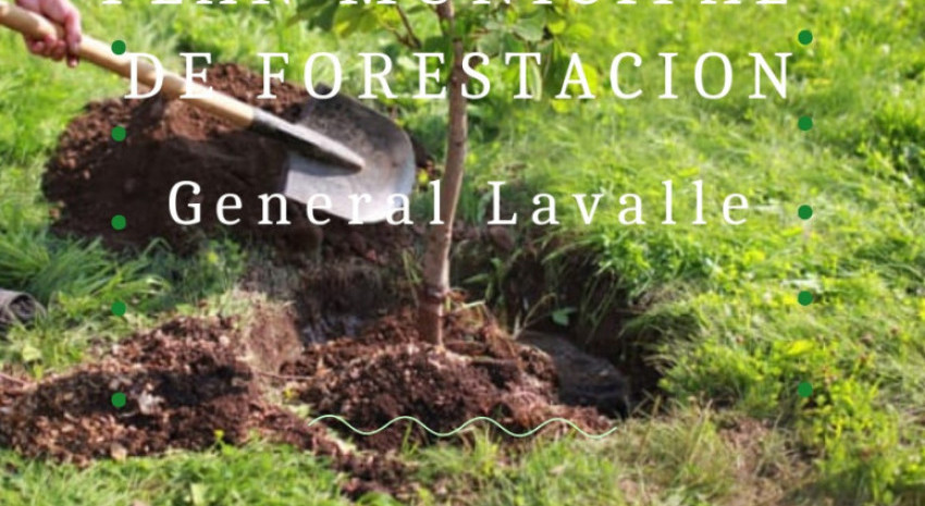 Comenzarán con el plan de forestación municipal en las tres localida