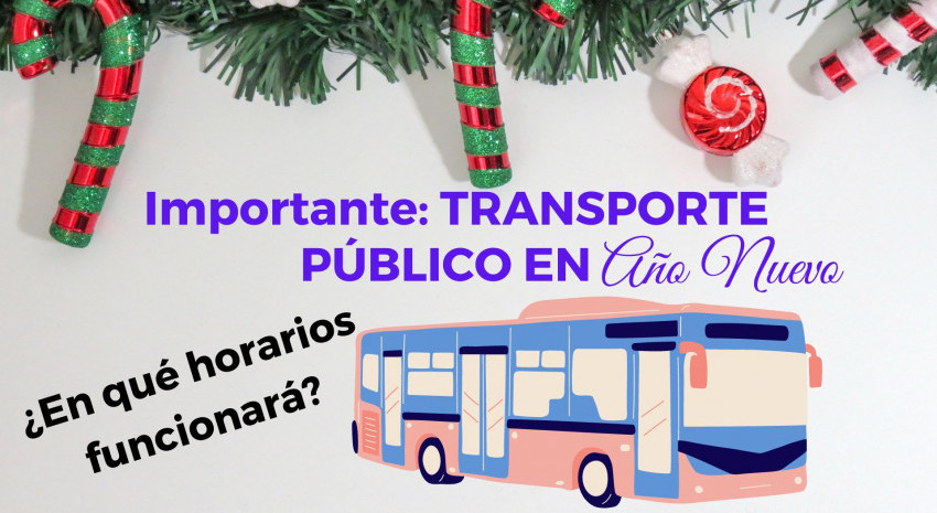 TRANSPORTE PÚBLICO: Cómo funcionarán los servicios de Lavalle y Pav