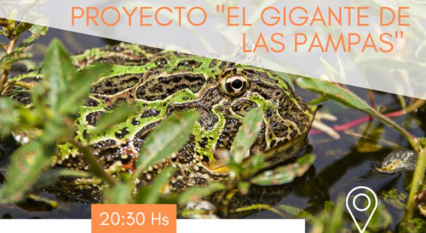 Este sábado presentarán el proyecto “El Gigante de Las Pampas” d