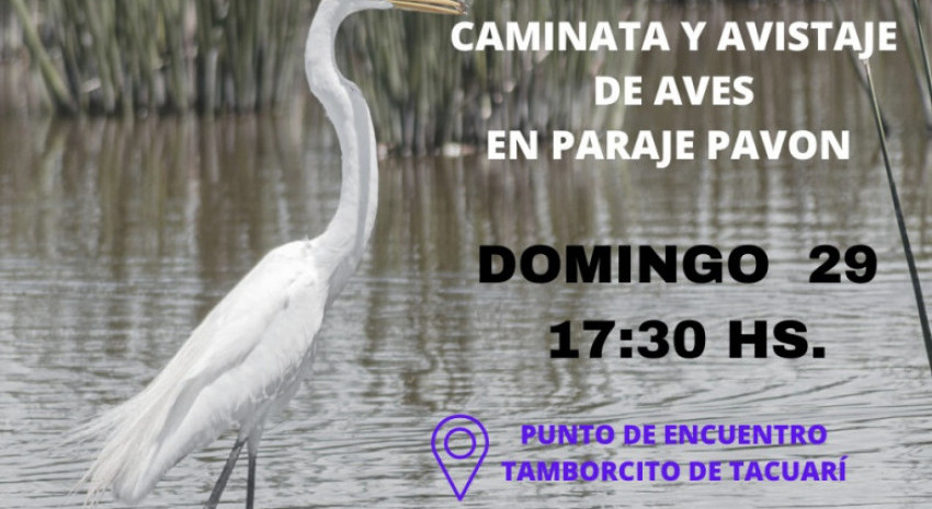 Este domingo se realizará una jornada de caminata y avistaje en Pavó