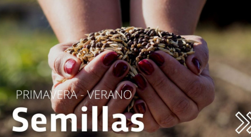 Comenzó la entrega de semillas para huertas familiares primavera - ve