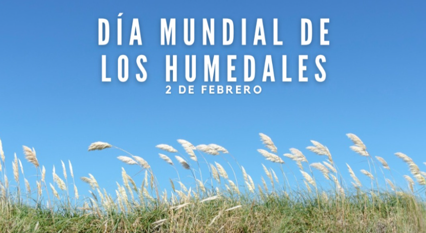 Este domingo se celebrará el “Día Mundial de los Humedales” obse