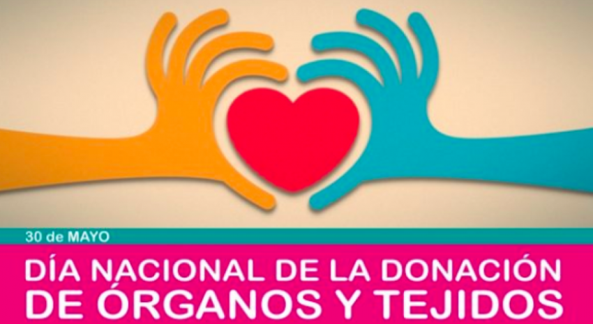 30 de mayo: “Día Nacional de la Donación de Órganos”