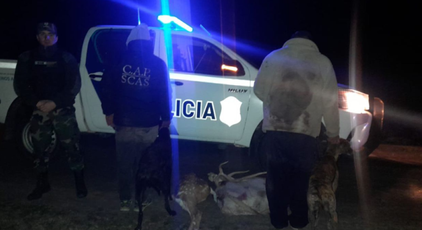 Demoraron a dos hombres por cazar ciervos