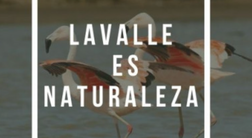 Hasta mañana habrá tiempo para anotarse al concurso de fotografía