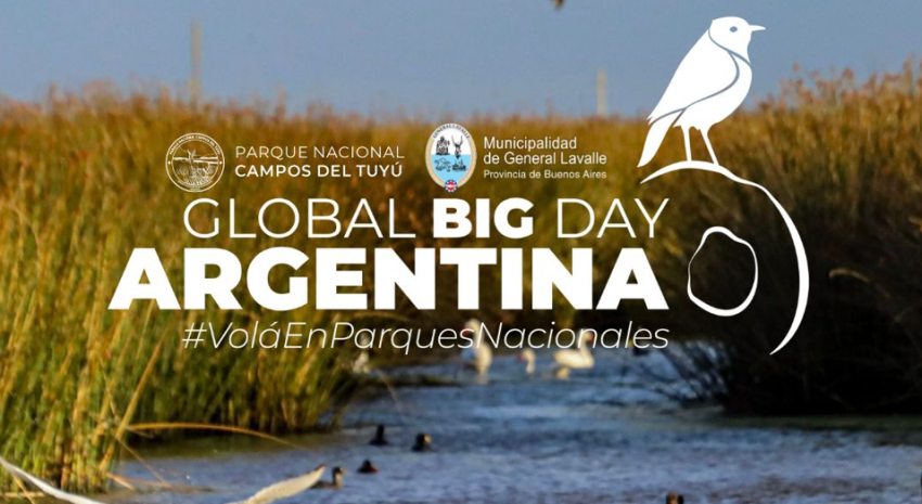 Lavalle se suma al Global Big Day con una jornada de observación de a