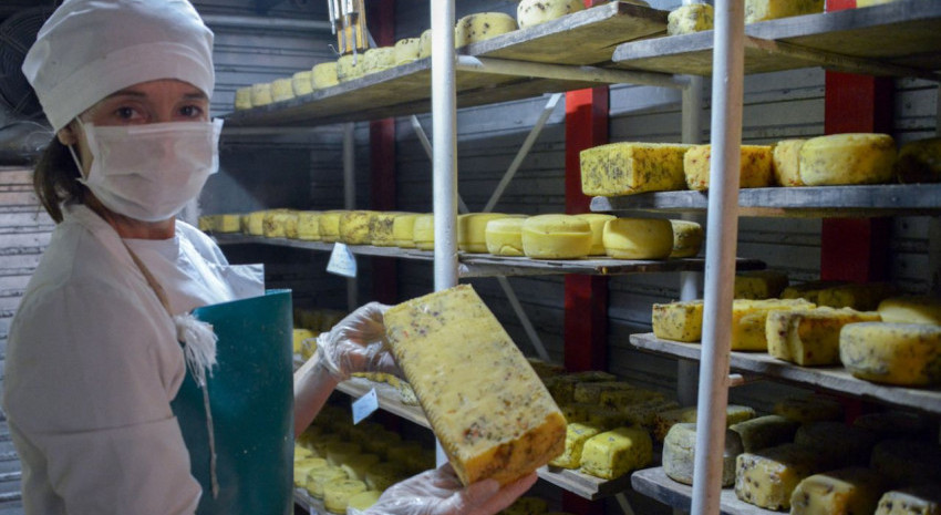 La producción artesanal de lácteos se incorporó al Código Alimenta