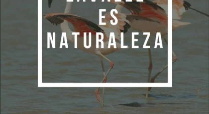 Sigue abierta la inscripción al concurso de fotografía