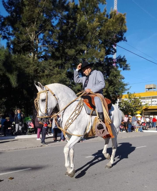 Desfile de emprendados