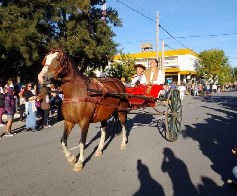 Desfile tradicionalista